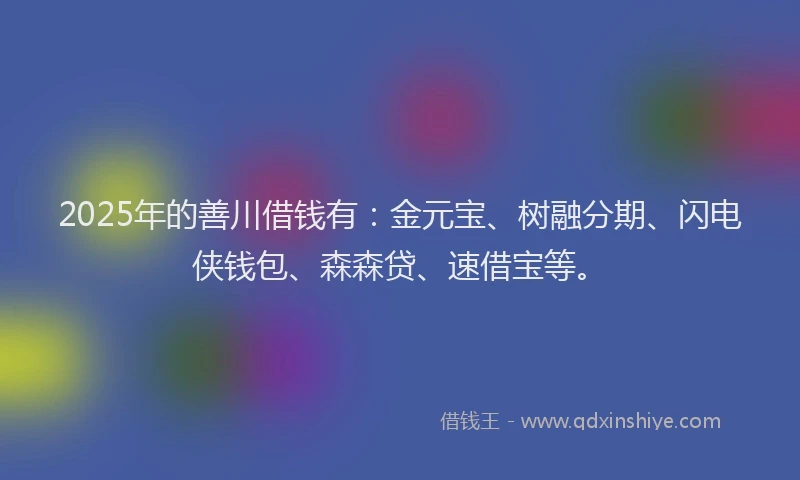 2025年的善川借钱有：金元宝、树融分期、闪电侠钱包、森森贷、速借宝等。