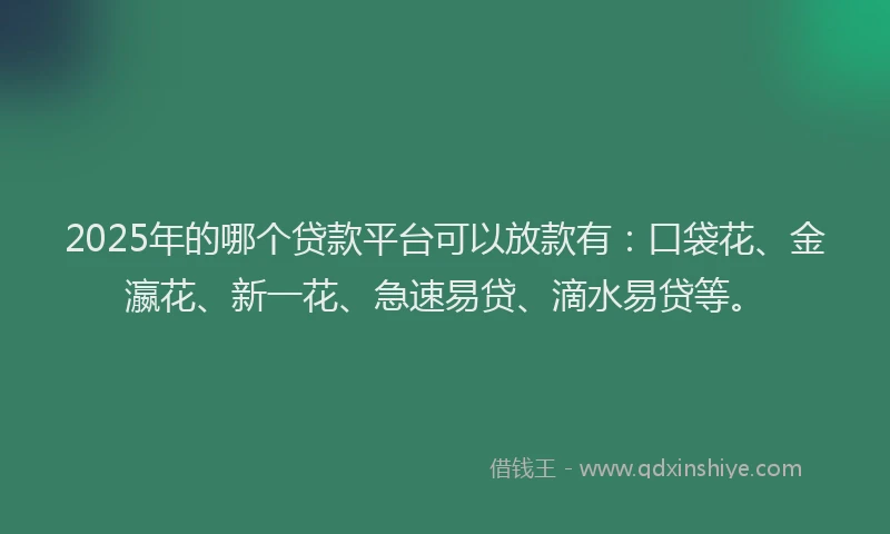 2025年的哪个贷款平台可以放款有：口袋花、金瀛花、新一花、急速易贷、滴水易贷等。