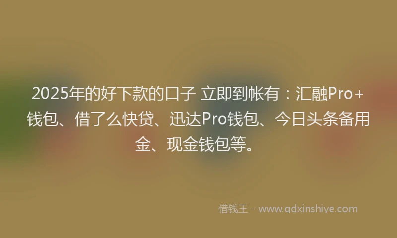 2025年的好下款的口子 立即到帐有：汇融Pro+钱包、借了么快贷、迅达Pro钱包、今日头条备用金、现金钱包等。