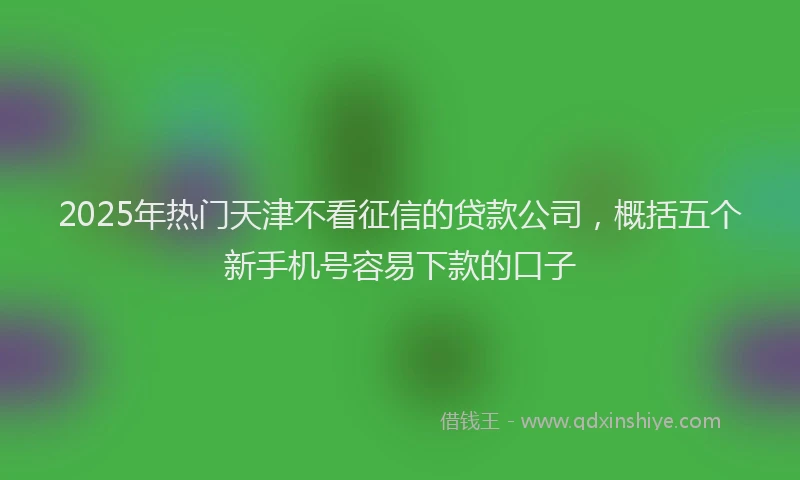 2025年热门天津不看征信的贷款公司，概括五个新手机号容易下款的口子