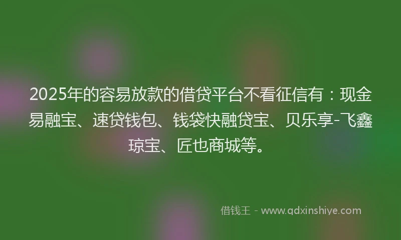 2025年的容易放款的借贷平台不看征信有：现金易融宝、速贷钱包、钱袋快融贷宝、贝乐享-飞鑫琼宝、匠也商城等。