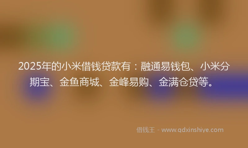 2025年的小米借钱贷款有：融通易钱包、小米分期宝、金鱼商城、金峰易购、金满仓贷等。