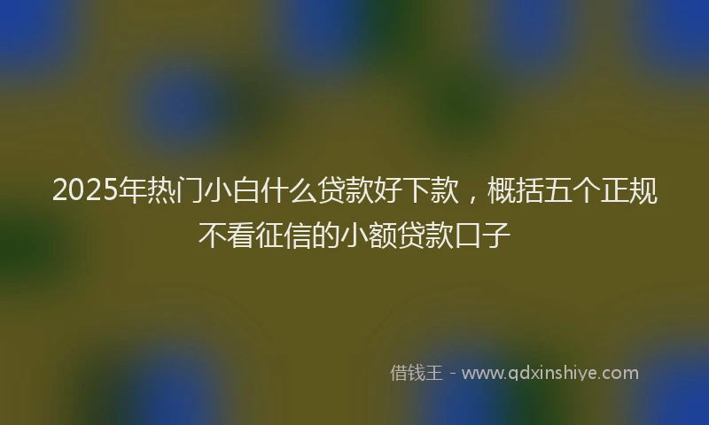 2025年热门小白什么贷款好下款，概括五个正规不看征信的小额贷款口子