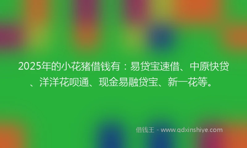 2025年的小花猪借钱有：易贷宝速借、中原快贷、洋洋花呗通、现金易融贷宝、新一花等。