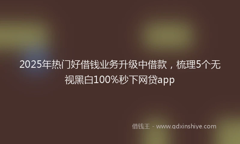 2025年热门好借钱业务升级中借款，梳理5个无视黑白100%秒下网贷app