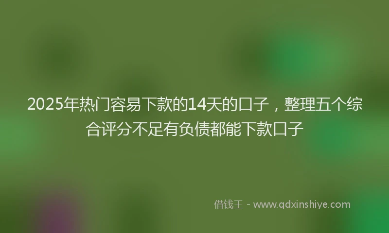 2025年热门容易下款的14天的口子，整理五个综合评分不足有负债都能下款口子