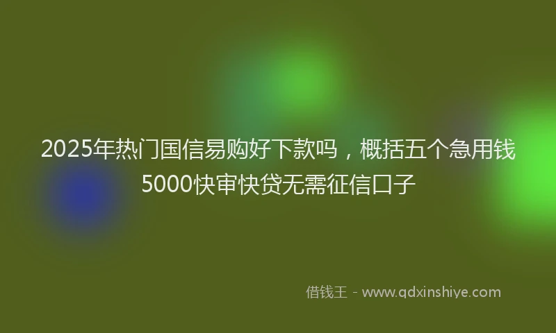 2025年热门国信易购好下款吗，概括五个急用钱5000快审快贷无需征信口子