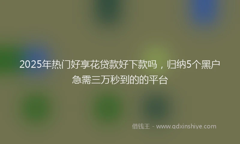 2025年热门好享花贷款好下款吗，归纳5个黑户急需三万秒到的的平台