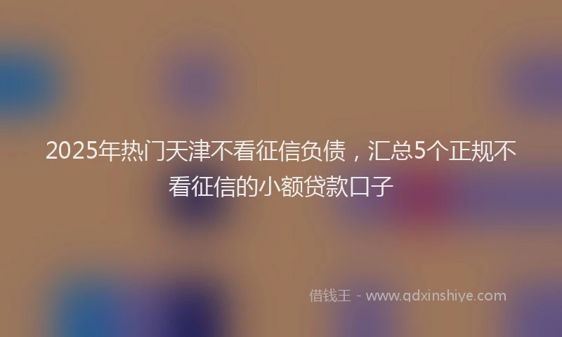 2025年热门天津不看征信负债，汇总5个正规不看征信的小额贷款口子