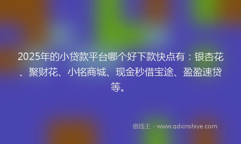 2025年的小贷款平台哪个好下款快点有：银杏花、聚财花、小铭商城、现金秒借宝途、盈盈速贷等。
