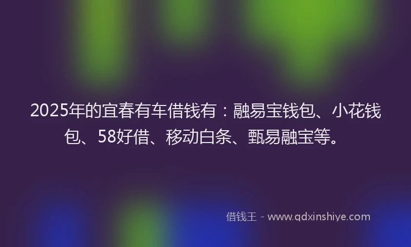 2025年的宜春有车借钱有：融易宝钱包、小花钱包、58好借、移动白条、甄易融宝等。