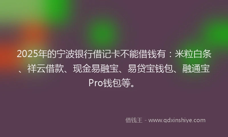 2025年的宁波银行借记卡不能借钱有：米粒白条、祥云借款、现金易融宝、易贷宝钱包、融通宝Pro钱包等。