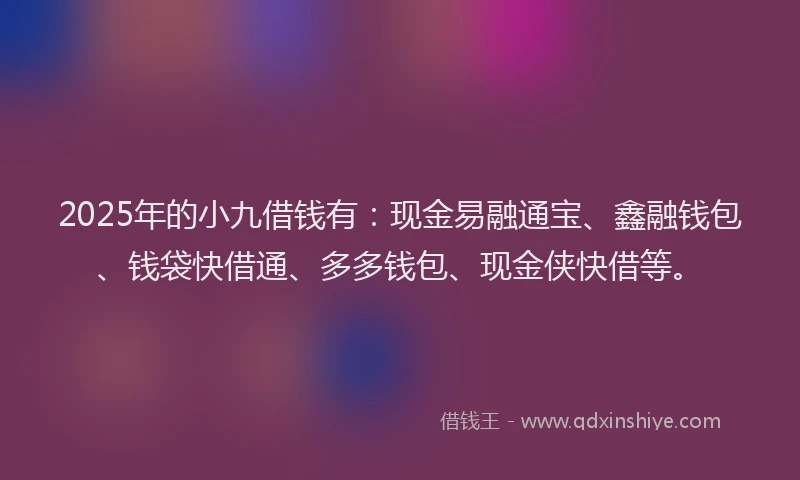 2025年的小九借钱有：现金易融通宝、鑫融钱包、钱袋快借通、多多钱包、现金侠快借等。