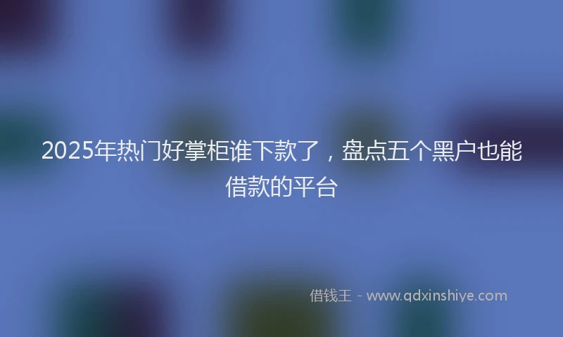 2025年热门好掌柜谁下款了，盘点五个黑户也能借款的平台