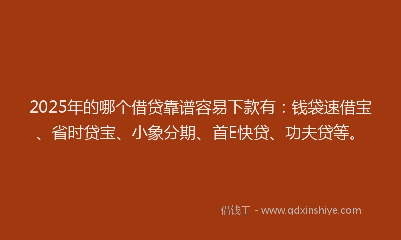 2025年的哪个借贷靠谱容易下款有：钱袋速借宝、省时贷宝、小象分期、首E快贷、功夫贷等。