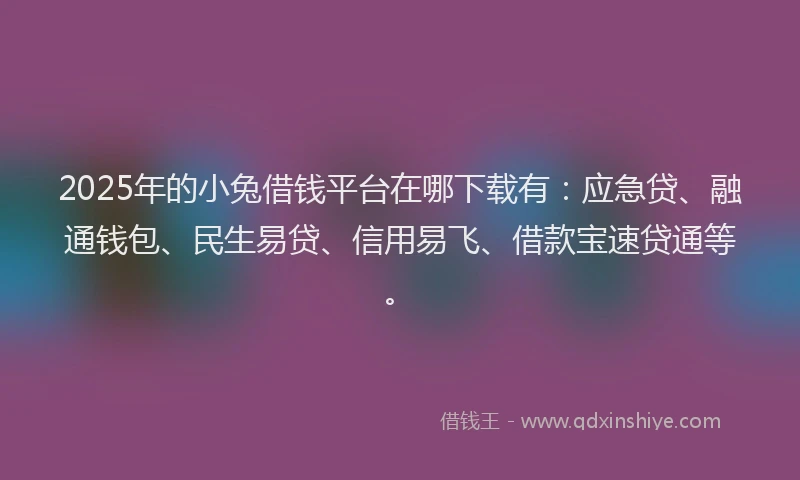 2025年的小兔借钱平台在哪下载有：应急贷、融通钱包、民生易贷、信用易飞、借款宝速贷通等。