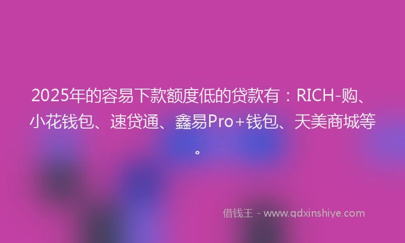 2025年的容易下款额度低的贷款有：RICH-购、小花钱包、速贷通、鑫易Pro+钱包、天美商城等。