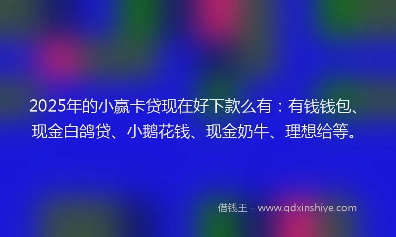 2025年的小赢卡贷现在好下款么有：有钱钱包、现金白鸽贷、小鹅花钱、现金奶牛、理想给等。