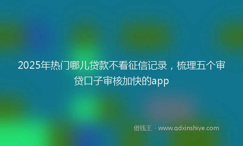 2025年热门哪儿贷款不看征信记录，梳理五个审贷口子审核加快的app
