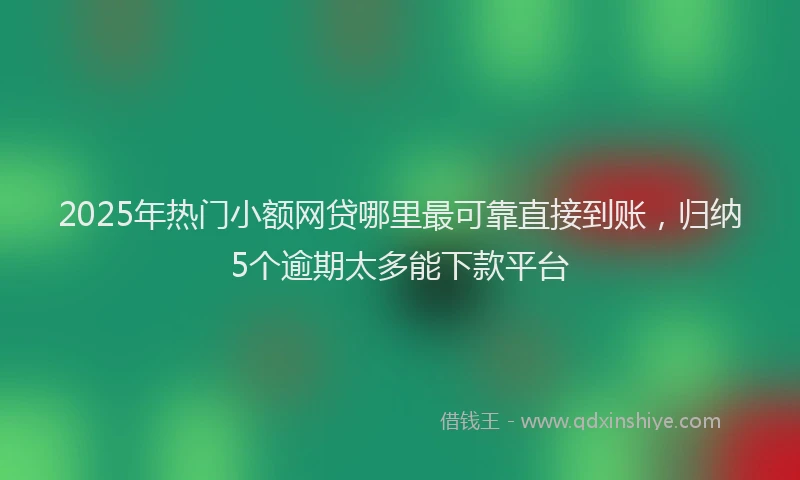 2025年热门小额网贷哪里最可靠直接到账，归纳5个逾期太多能下款平台