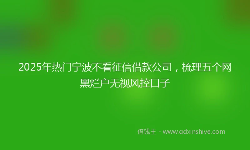 2025年热门宁波不看征信借款公司，梳理五个网黑烂户无视风控口子