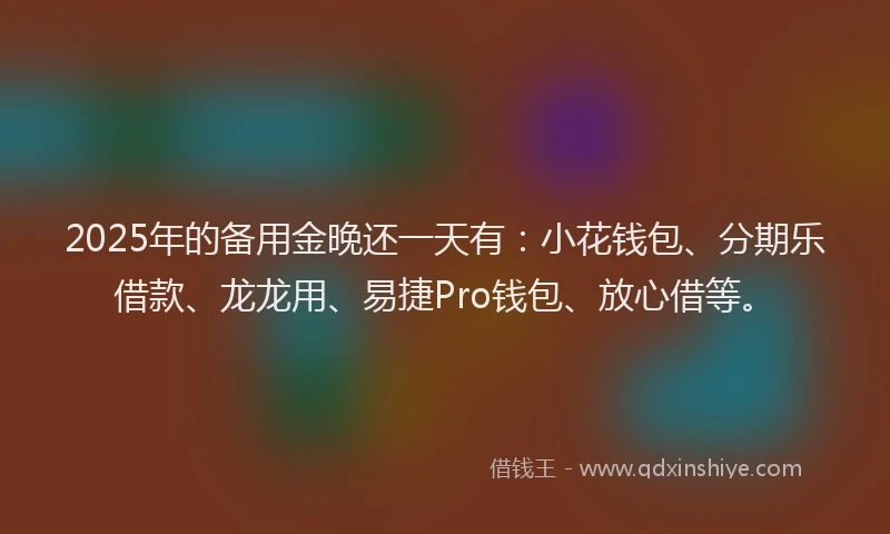 2025年的备用金晚还一天有：小花钱包、分期乐借款、龙龙用、易捷Pro钱包、放心借等。
