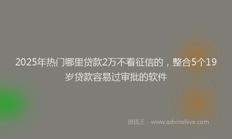 2025年热门哪里贷款2万不看征信的，整合5个19岁贷款容易过审批的软件