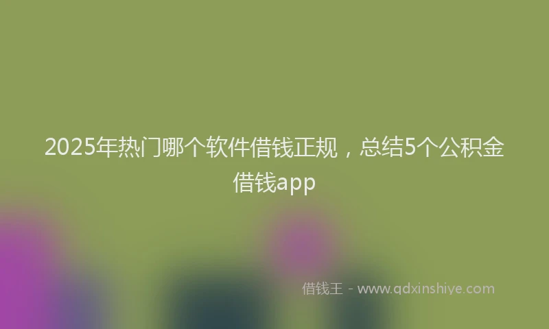 2025年热门哪个软件借钱正规，总结5个公积金借钱app