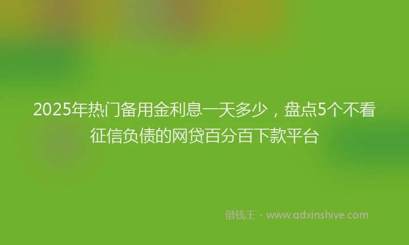 2025年热门备用金利息一天多少，盘点5个不看征信负债的网贷百分百下款平台