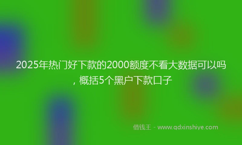 2025年热门好下款的2000额度不看大数据可以吗，概括5个黑户下款口子