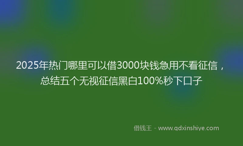 2025年热门哪里可以借3000块钱急用不看征信，总结五个无视征信黑白100%秒下口子