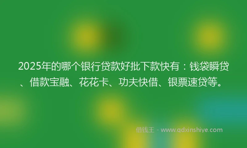 2025年的哪个银行贷款好批下款快有：钱袋瞬贷、借款宝融、花花卡、功夫快借、银票速贷等。
