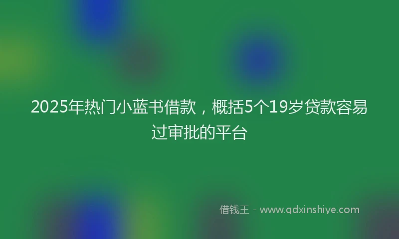 2025年热门小蓝书借款，概括5个19岁贷款容易过审批的平台
