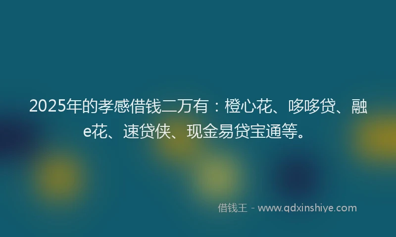 2025年的孝感借钱二万有：橙心花、哆哆贷、融e花、速贷侠、现金易贷宝通等。