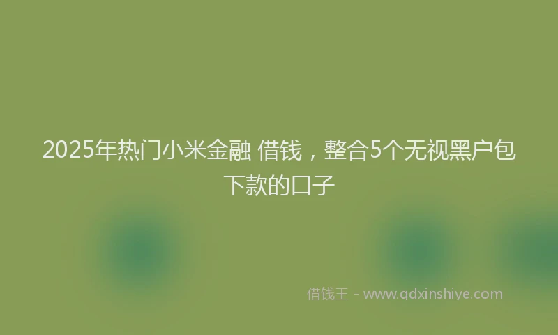 2025年热门小米金融 借钱，整合5个无视黑户包下款的口子