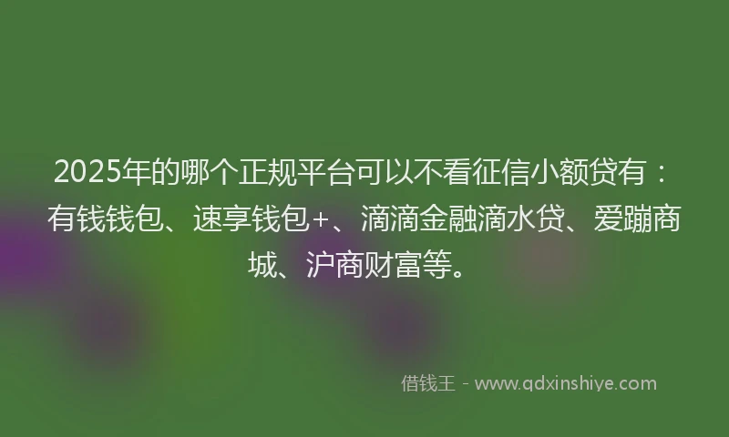 2025年的哪个正规平台可以不看征信小额贷有：有钱钱包、速享钱包+、滴滴金融滴水贷、爱蹦商城、沪商财富等。