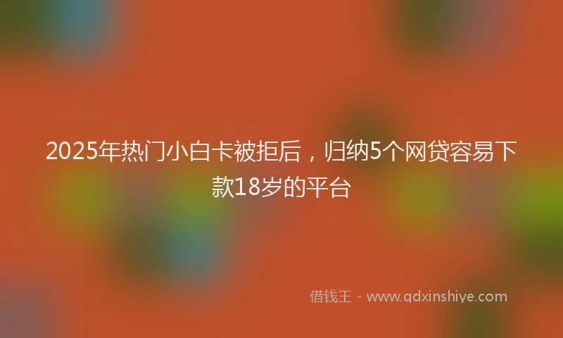 2025年热门小白卡被拒后，归纳5个网贷容易下款18岁的平台