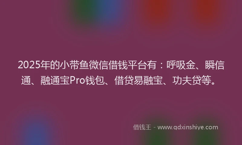 2025年的小带鱼微信借钱平台有：呼吸金、瞬信通、融通宝Pro钱包、借贷易融宝、功夫贷等。