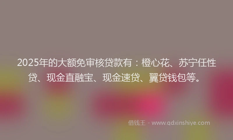 2025年的大额免审核贷款有：橙心花、苏宁任性贷、现金直融宝、现金速贷、翼贷钱包等。