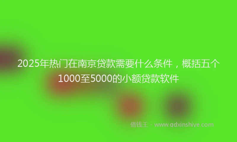 2025年热门在南京贷款需要什么条件，概括五个1000至5000的小额贷款软件