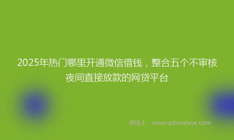 2025年热门哪里开通微信借钱，整合五个不审核夜间直接放款的网贷平台