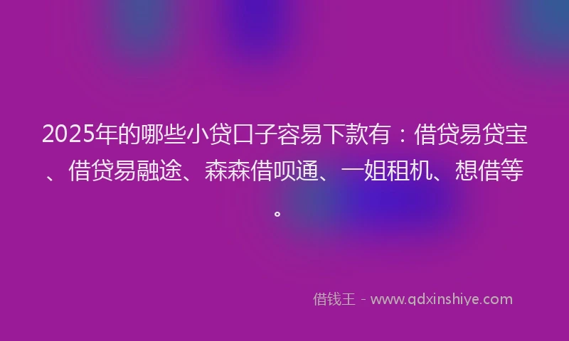 2025年的哪些小贷口子容易下款有：借贷易贷宝、借贷易融途、森森借呗通、一姐租机、想借等。
