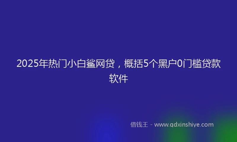 2025年热门小白鲨网贷，概括5个黑户0门槛贷款软件