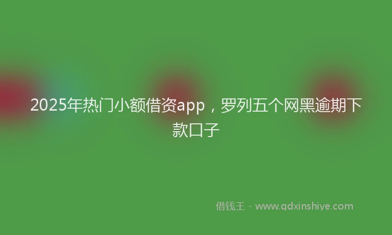 2025年热门小额借资app，罗列五个网黑逾期下款口子