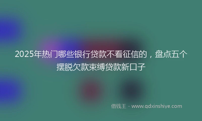 2025年热门哪些银行贷款不看征信的，盘点五个摆脱欠款束缚贷款新口子