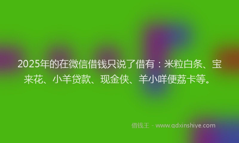 2025年的在微信借钱只说了借有：米粒白条、宝来花、小羊贷款、现金侠、羊小咩便荔卡等。