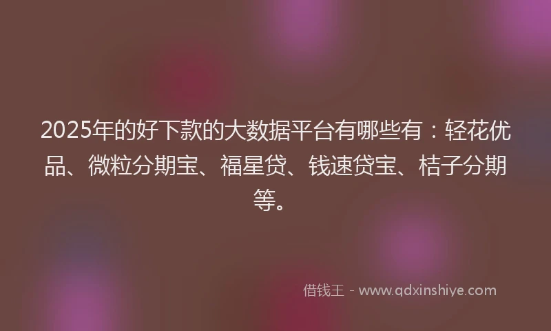 2025年的好下款的大数据平台有哪些有：轻花优品、微粒分期宝、福星贷、钱速贷宝、桔子分期等。