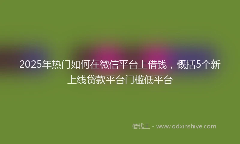 2025年热门如何在微信平台上借钱，概括5个新上线贷款平台门槛低平台