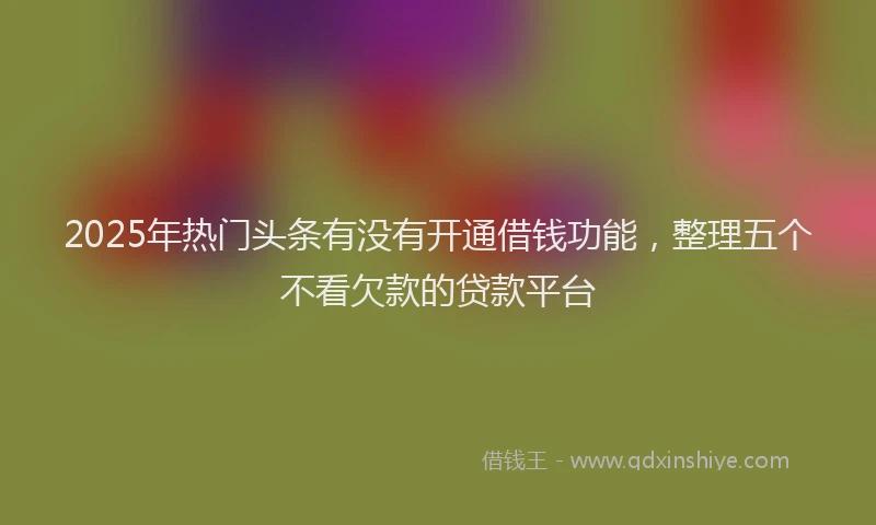 2025年热门头条有没有开通借钱功能，整理五个不看欠款的贷款平台