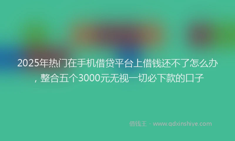 2025年热门在手机借贷平台上借钱还不了怎么办，整合五个3000元无视一切必下款的口子